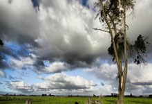 爱游戏大厅-孤独矗立，切特·霍姆格伦如何用防守体系重塑火箭快船之战